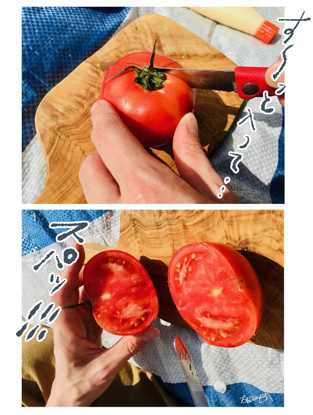 画像: 切れ味抜群!柔らかい果物から硬めのパンまで気持ちよくカットできる!