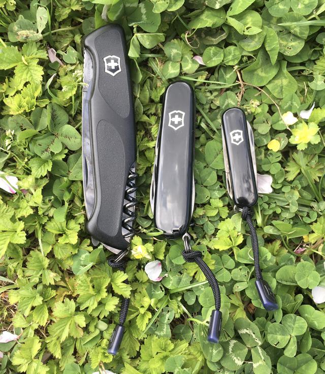 画像1: 筆者撮影
