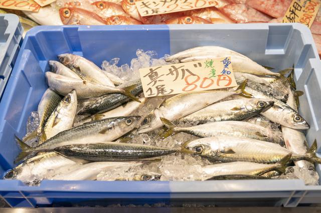 画像10: 【番組ロケ密着】「おぎやはぎのハピキャン」〜たけだバーベキュー流 ~春のお気軽デイキャンプ(後編)炭火焼きに舌鼓〜新定番•薪クイズ…1日の思い出を動画編集して鑑賞