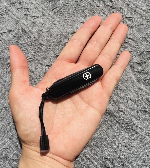 画像6: 筆者撮影