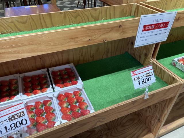 画像7: 著者撮影