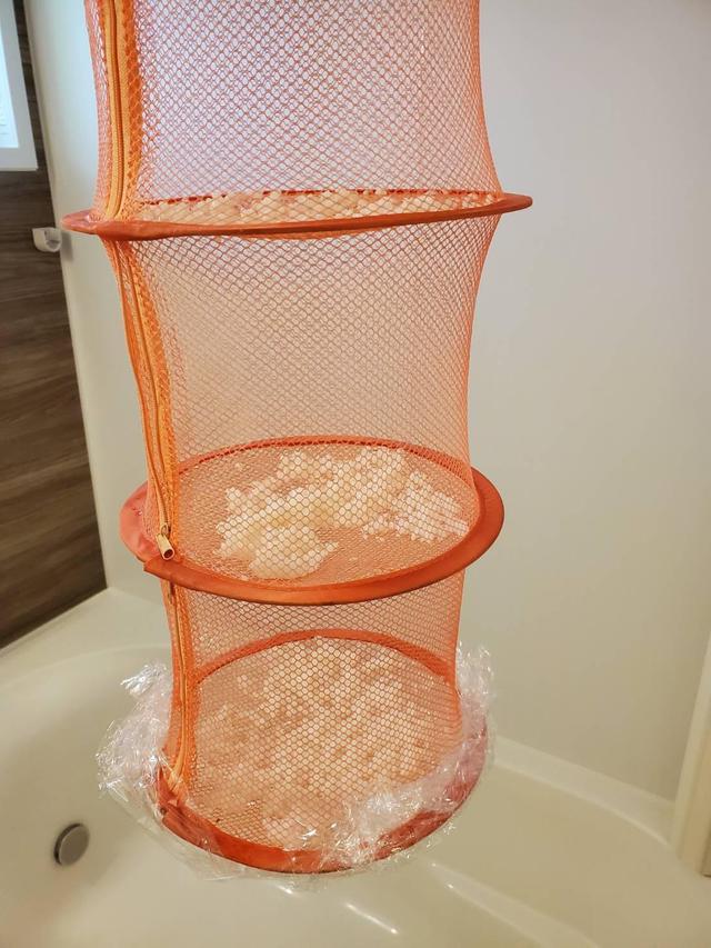 画像: 筆者撮影:浴室乾燥