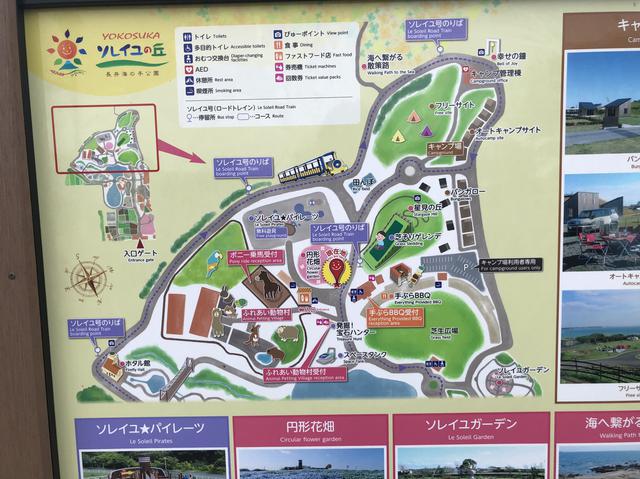 画像1: 編集部撮影