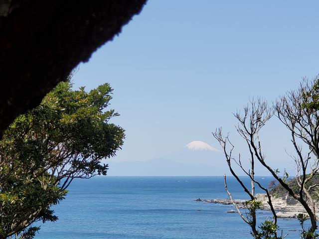 画像11: 編集部撮影