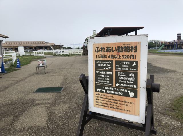 画像6: 編集部撮影