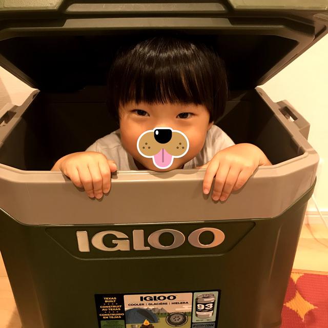 画像2: イグルー(IGLOO)のクーラーボックスはまるでアウトドア冷蔵庫♪我が家の大型クーラーの使い方テクニックを紹介