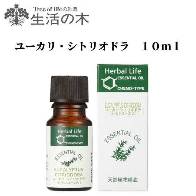 画像2: 【キャンプで使えるハーブ活用の虫対策】アロマオイルで手作り虫除けシール&虫刺され用ジェルを作ろう!