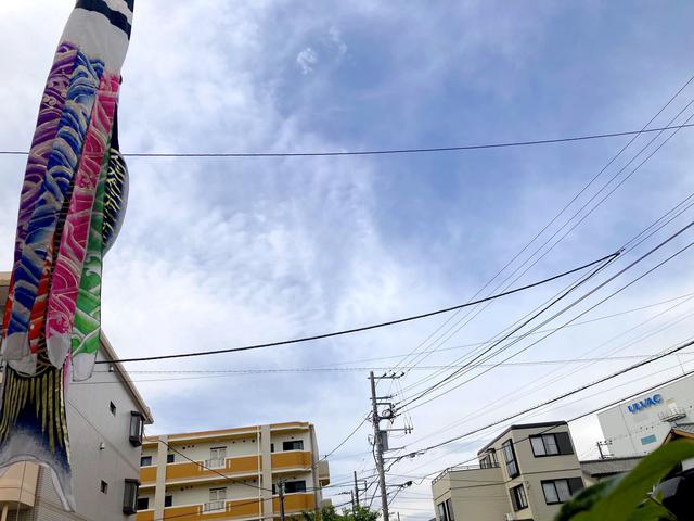 画像: スタート前の空の様子。この雲は、野菜を切っているうちに消えていきました。