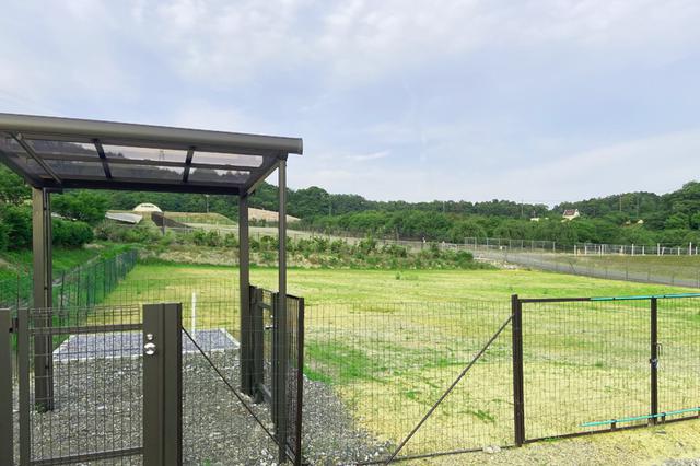 画像: ドッグラン