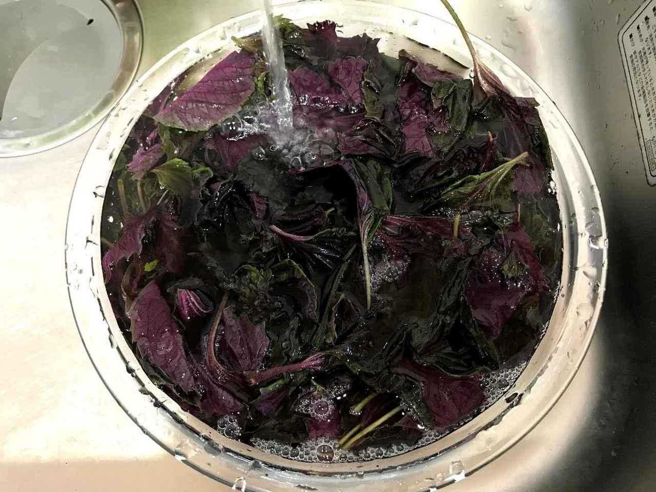 画像: 筆者撮影 手順2