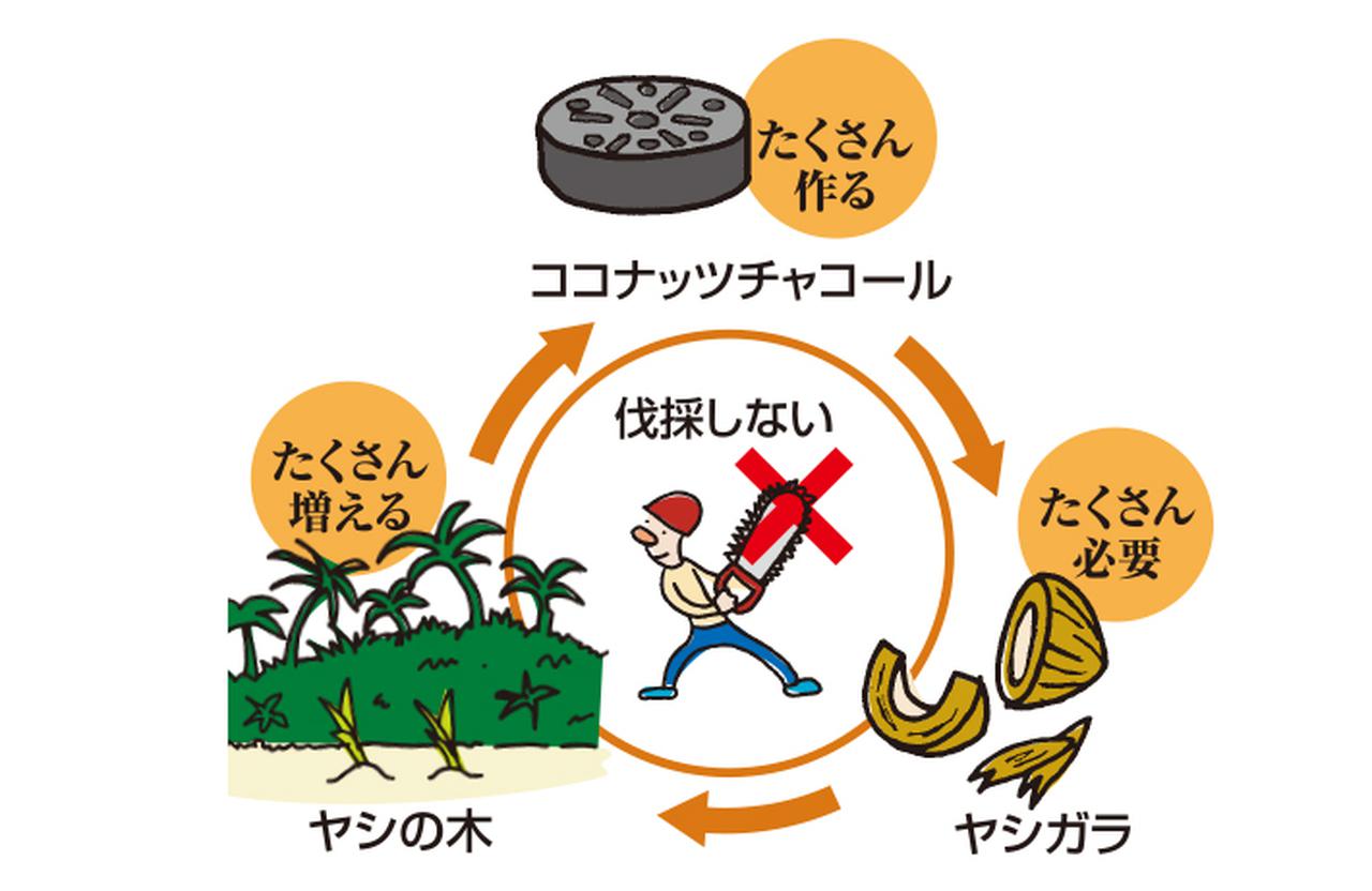 画像: 地球にも優しいから