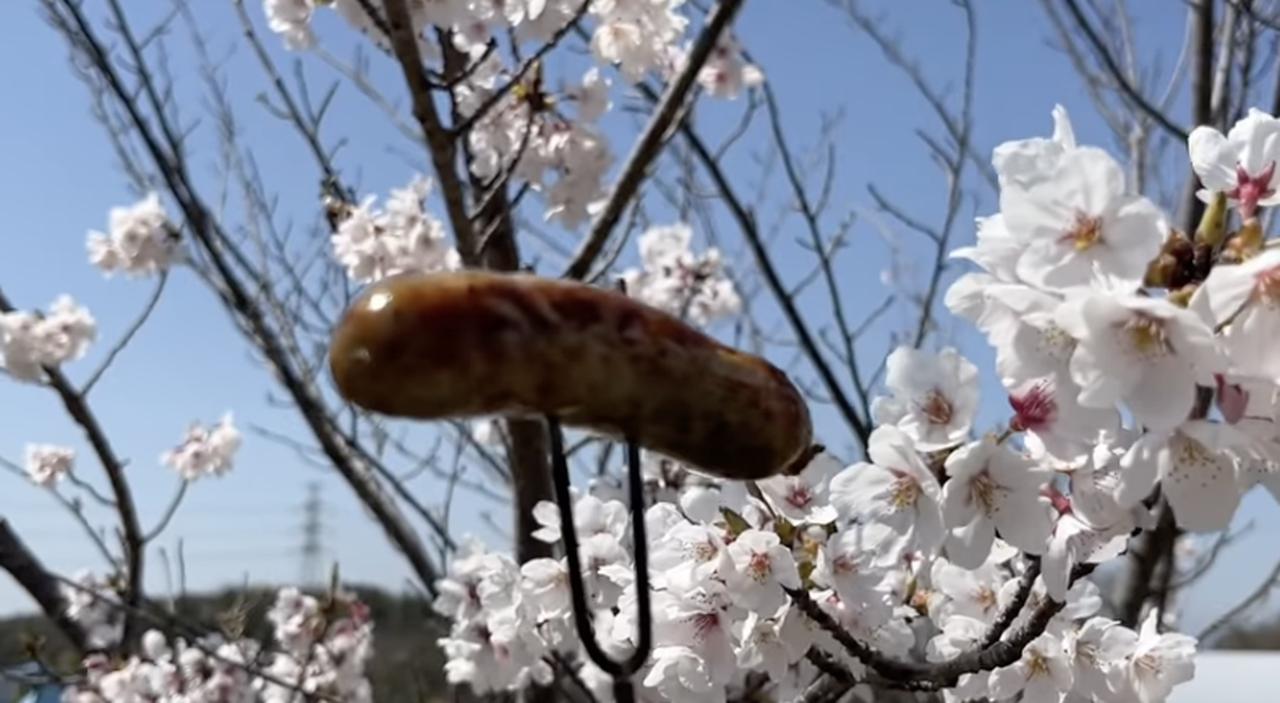 画像37: 出典:YouTubeチャンネル「FUKU」より