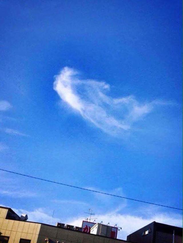 画像7: 運気がドカンとアップする!光の写真