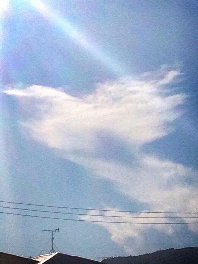 画像4: 運気がドカンとアップする!光の写真