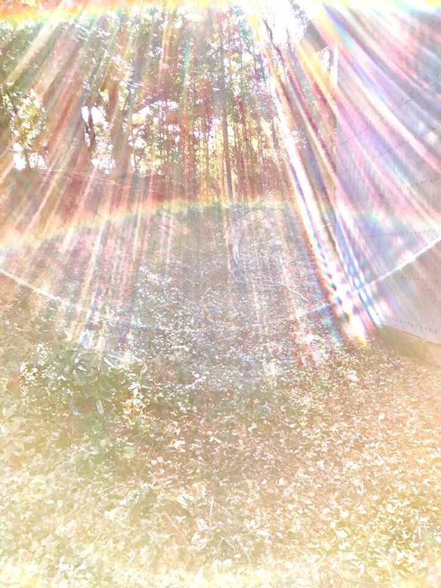 画像1: 運気がドカンとアップする!光の写真
