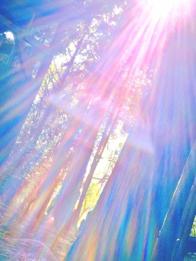画像1: 運気がドカンとアップする!光の写真