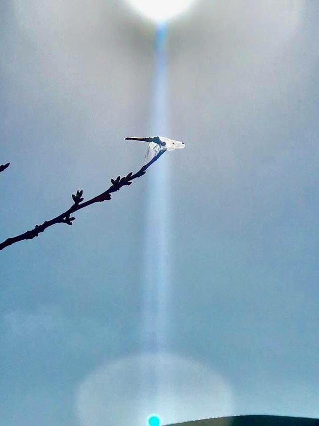 画像2: 運気がドカンとアップする!光の写真