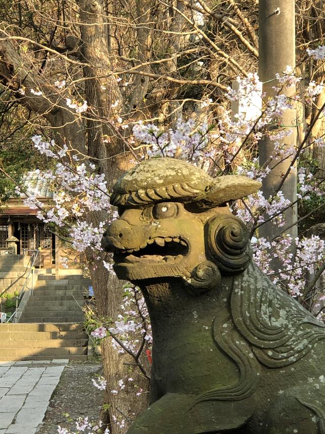 画像1: もし、あなたの人生に現れる人は、あなたの思考によって引き寄せられたり、消えたりしているとしたらどうでしょうか? そう考えた方が、「限界はない」ということの本当の意味をつかみやすくなりませんか?