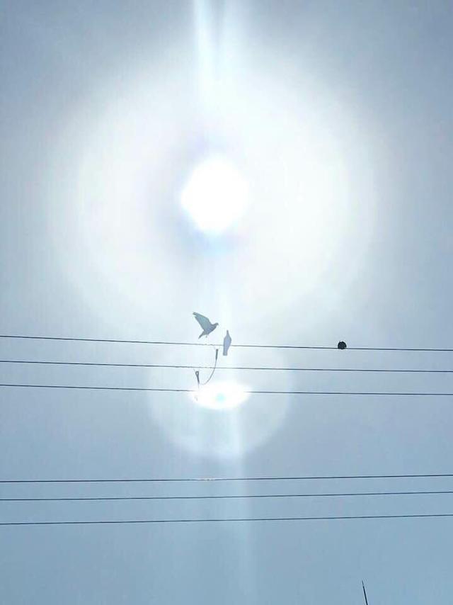 画像4: 運気がドカンとアップする!光の写真