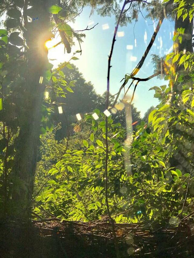 画像2: 運気がドカンとアップする!光の写真