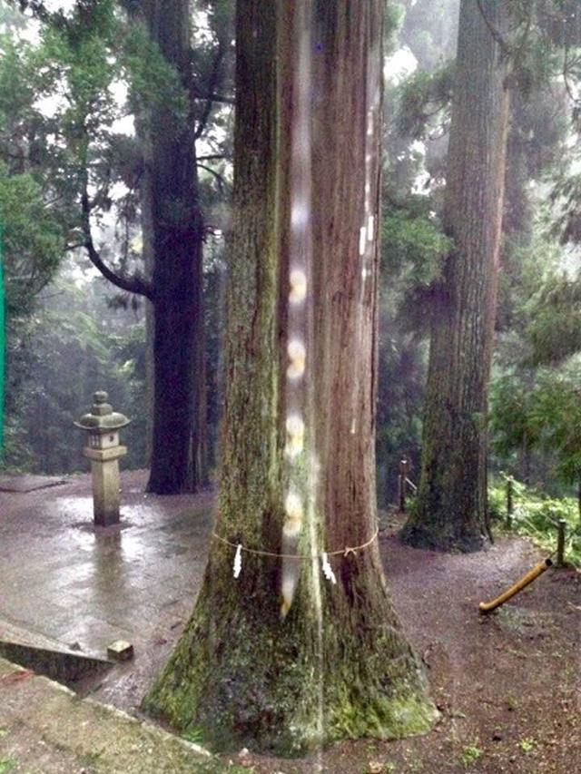 画像1: 運気がドカンとアップする!光の写真