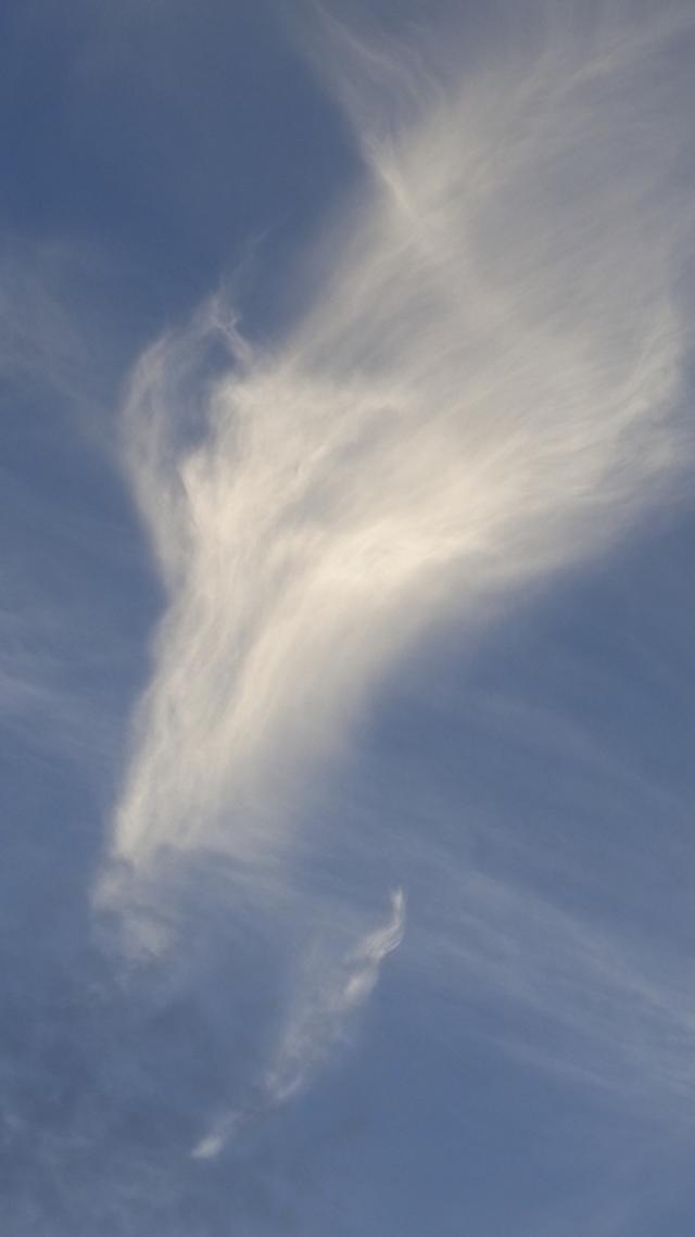画像1: 応募総数1200枚超から 厳選した龍雲写真はこれ!