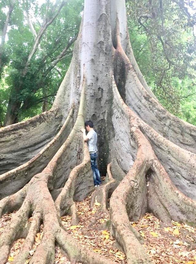 画像1: 運気がドカンとアップする!光の写真