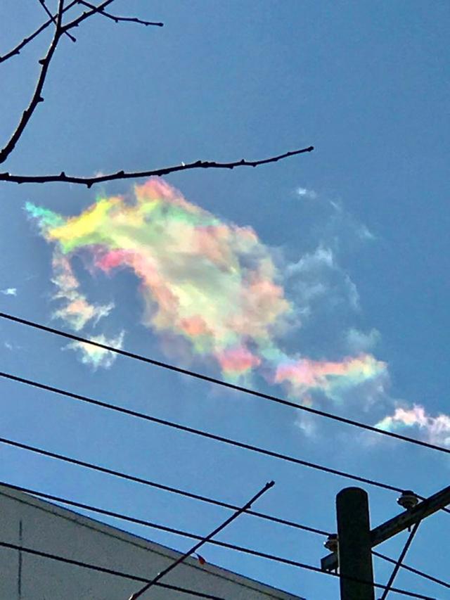 画像3: 運気がドカンとアップする!光の写真