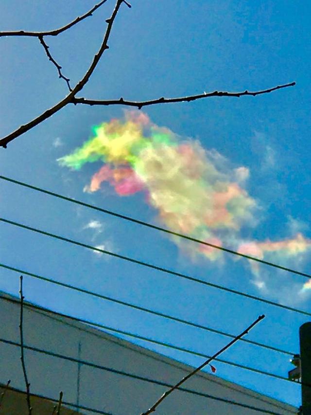 画像1: 運気がドカンとアップする!光の写真