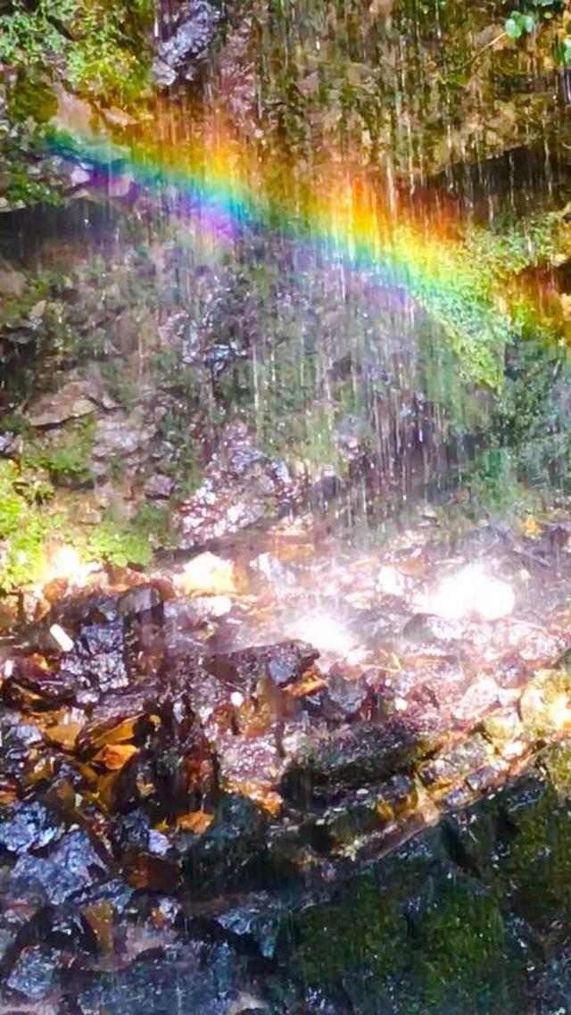 画像3: 運気がドカンとアップする!光の写真