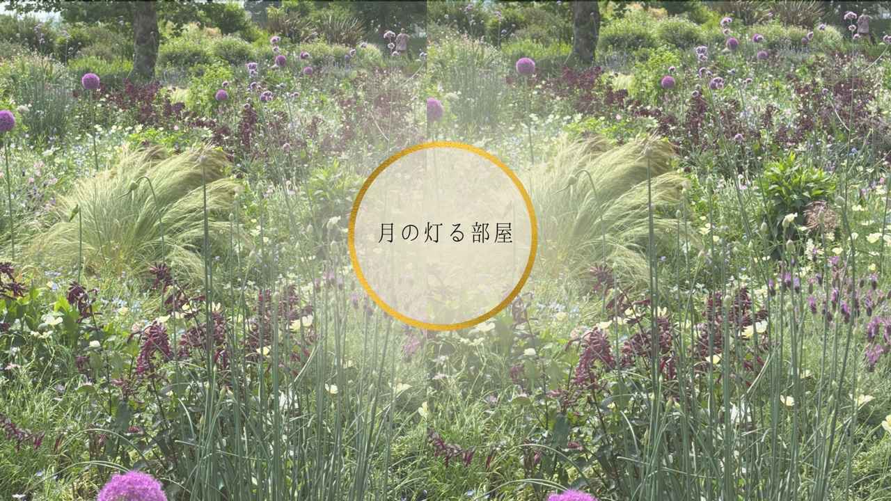 画像: 月の灯る部屋
