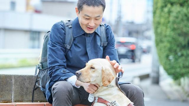 画像2: 誰もが見とれてしまうくらい颯爽と歩くペアを