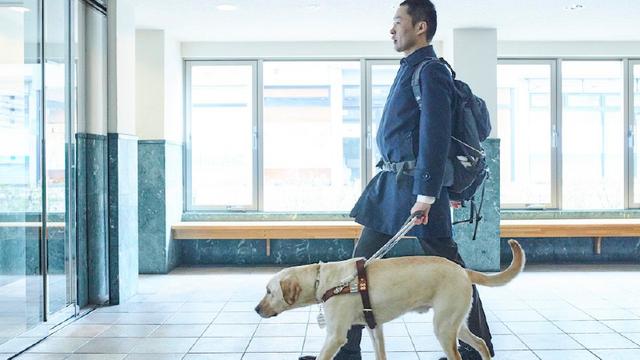 画像2: アイメイトと共にある、より自由で充実した毎日