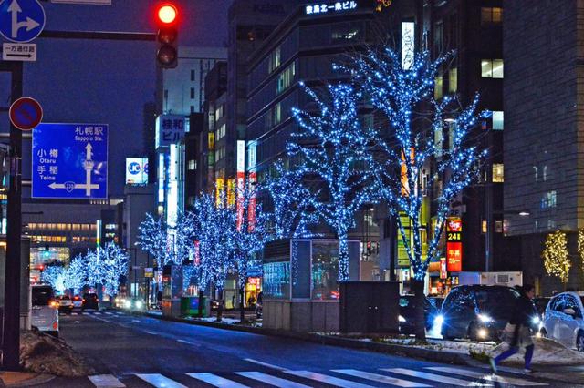 画像7: 写真提供:さっぽろホワイトイルミネーション実行委員会