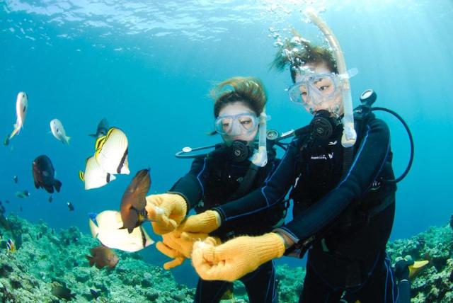 画像: 海中を泳ぐ魚に餌づけができるコースもあります(写真提供:マリンクラブ ナギ)