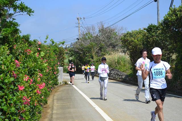 画像: 沿道には南国らしいハイビスカスの花も。青い空と赤い花びらのコントラストが美しい