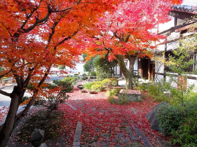 画像: 写真提供:浄土宗大本山 百萬遍知恩寺