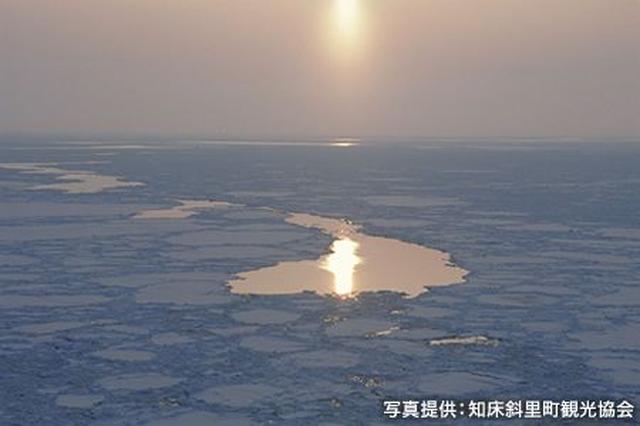 画像1: 知床は、流氷の海が育んだ独自の自然と生態系を持つ世界遺産