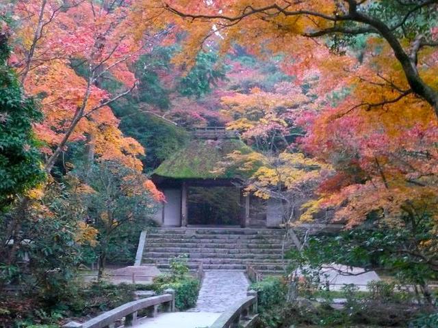 画像: 法然院(写真提供:法然院)