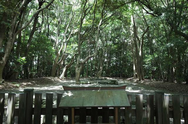 画像: 辺津宮にあるパワースポット「高宮祭場」