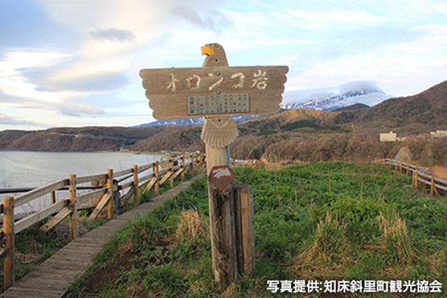 画像2: 「知床国立公園」で世界遺産の魅力、大自然を体感する