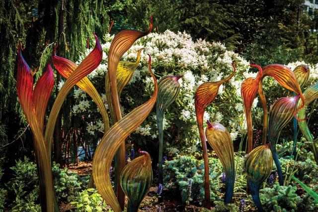 画像: 自然光を浴びて輝きを放つガラス工芸の作品群 © Chihuly Garden and Glass