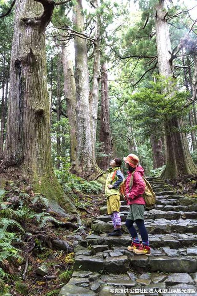 画像: 「紀伊山地の霊場と参詣道」とは?様々な宗教の聖地として長い歴史を持つ神聖な土地