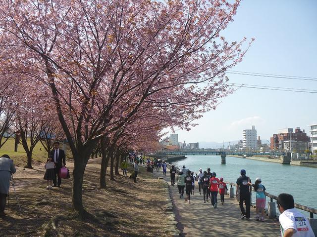 画像: 徳島中央公園を周回する「ファンラン」は家族で参加可能