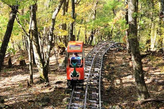 画像: 奥祖谷の絶景を体感できる「奥祖谷観光周遊モノレール」
