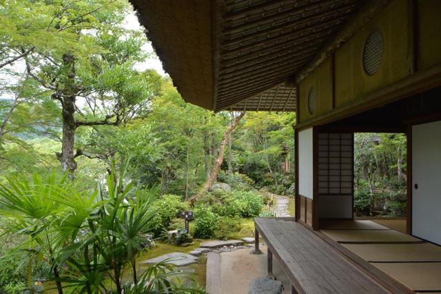 画像: 臥龍院の縁側から臨む、四季折々の庭の景色を借景としています