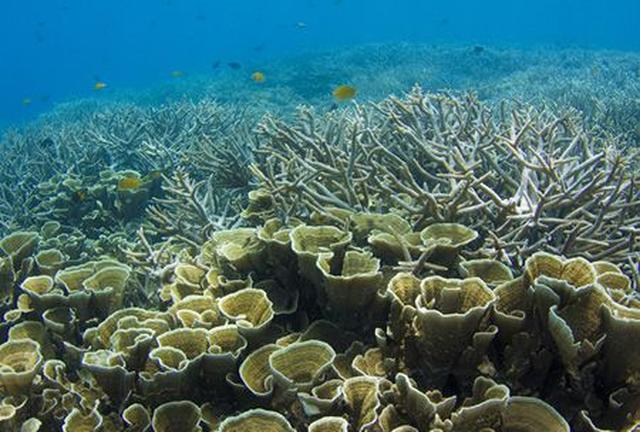 南ラグーンのロックアイランド群 OnTrip JAL