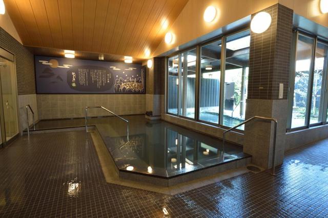 画像: モール泉を堪能できる内湯。露天風呂には潮湯も備えています