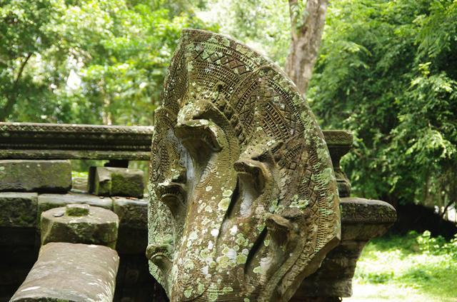 画像1: 「アンコール」を象徴する2大遺跡を歩く