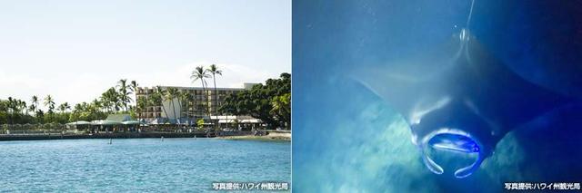 画像: コナ・コースト(Kona Coast)